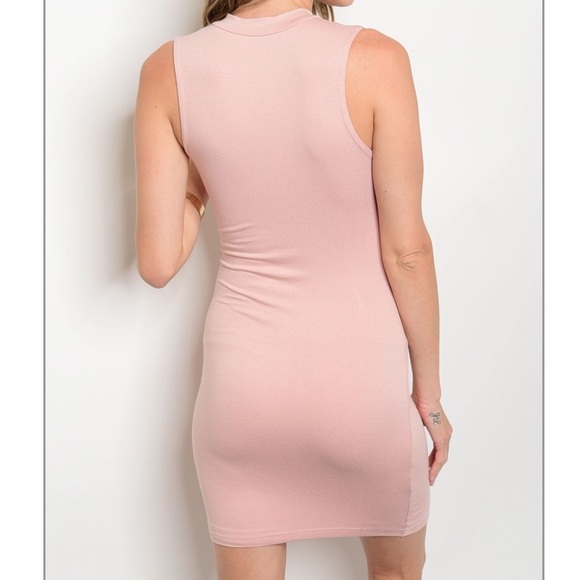 Spring Fling Light Pink Dress - Picture 2 of 4